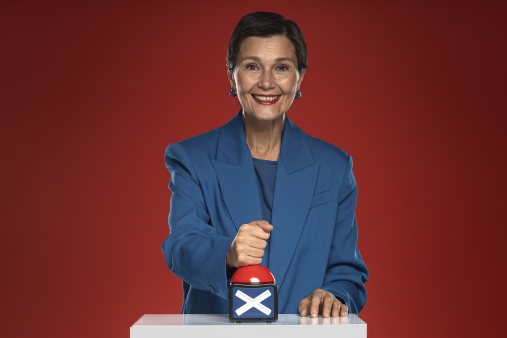 what is the whip in politics