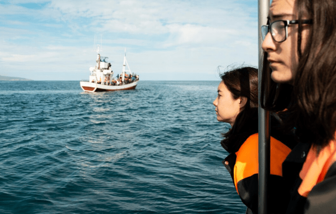 what happened to the bp executives on deepwater horizon