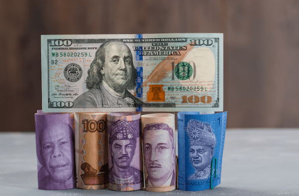 dollar general $2 tote