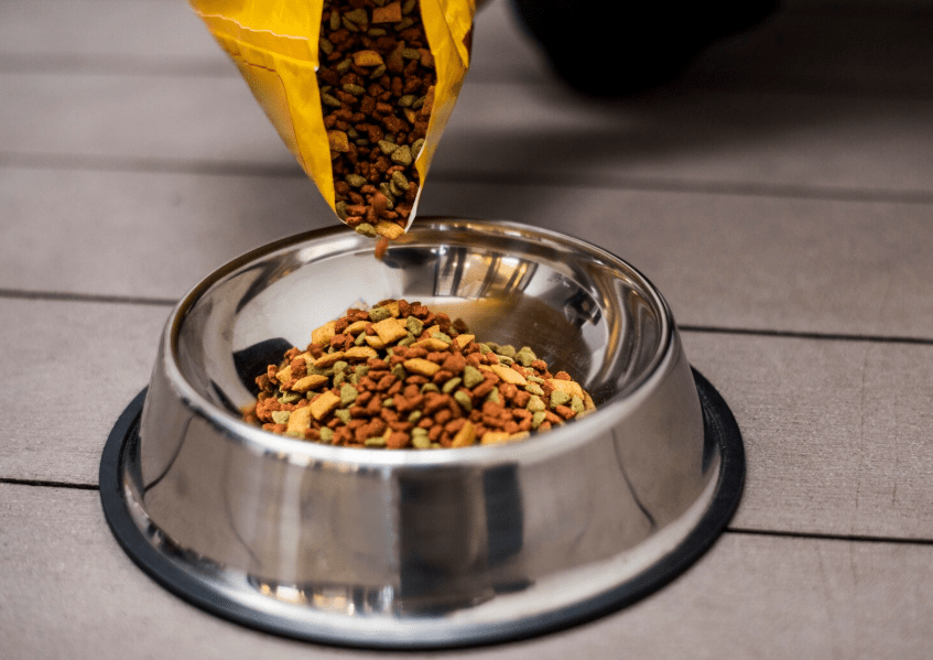 raaw energy pet food recall