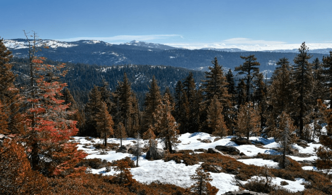 colorado montana wyoming snow