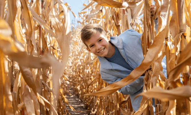 cereal company plant layoffs
